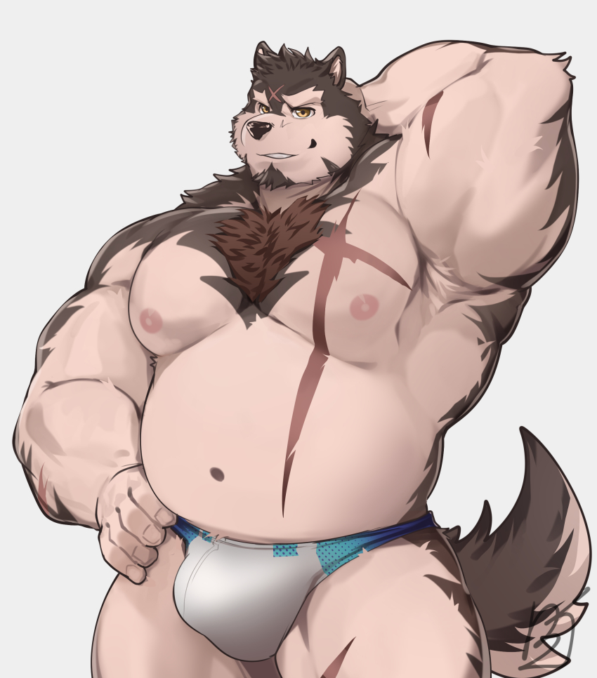 1boy, absurdres, animal_ears, another_eidos-r, arm_behind_head, armpits, bara, belly, billford_(another_eidos), bladetiger_art, bulge, chest_hair, commentary, commission, cross_scar, dog_boy, dog_ears, dog_tail, english_commentary, fat, fat_man, furry, furry_male, grey_background, hand_on_own_hip, highres, looking_at_viewer, male_focus, male_swimwear, multiple_scars, nipples, pectorals, scar, scar_on_arm, scar_on_chest, scar_on_face, scar_on_forehead, scar_on_stomach, smile, tail, topless_male, white_male_swimwear, yellow_eyes