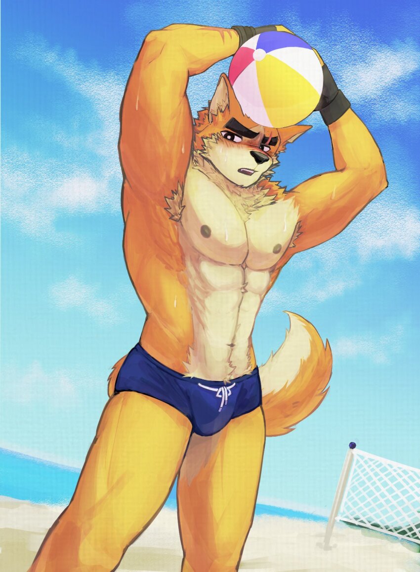 1boy, abs, animal_ears, armpits, arms_up, bara, beach, beach_volleyball, black_gloves, blue_male_swimwear, blue_sky, blush, commentary, cooper_krager, english_commentary, fingerless_gloves, furry, furry_male, gloves, goromokaa, highres, looking_at_viewer, male_focus, male_swimwear, multiple_scars, muscular, muscular_male, navel, nipples, ocean, open_mouth, pectorals, remember_the_flowers, scar, scar_across_eye, scar_on_arm, scar_on_face, scar_on_nose, sky, tail, topless_male, volleyball_net, wolf_boy, wolf_ears, wolf_tail