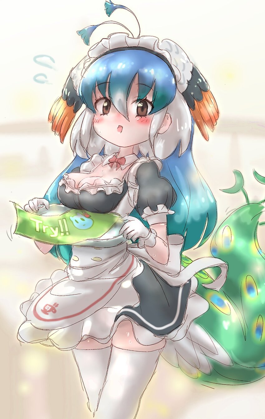 alternate_costume, bird_girl, bird_tail, bird_wings, black_dress, blue_hair, blush, bow