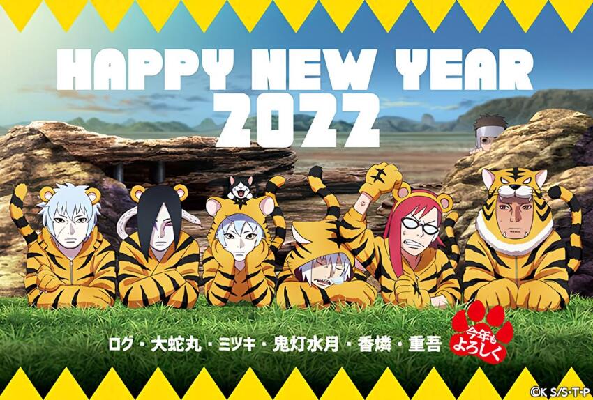 angry, animal_costume, animal_ears, animal_print, black_hair, blue_hair, boruto:_naruto_next_generations, cat