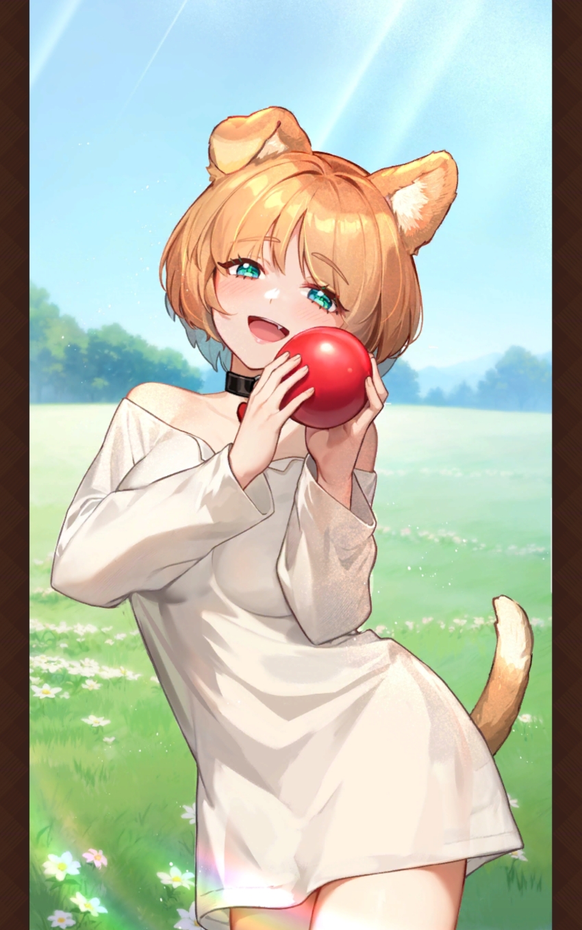 absurdres, animal_ears, blue_eyes, brown_hair, collar, dog_ears, dog_tail, gina