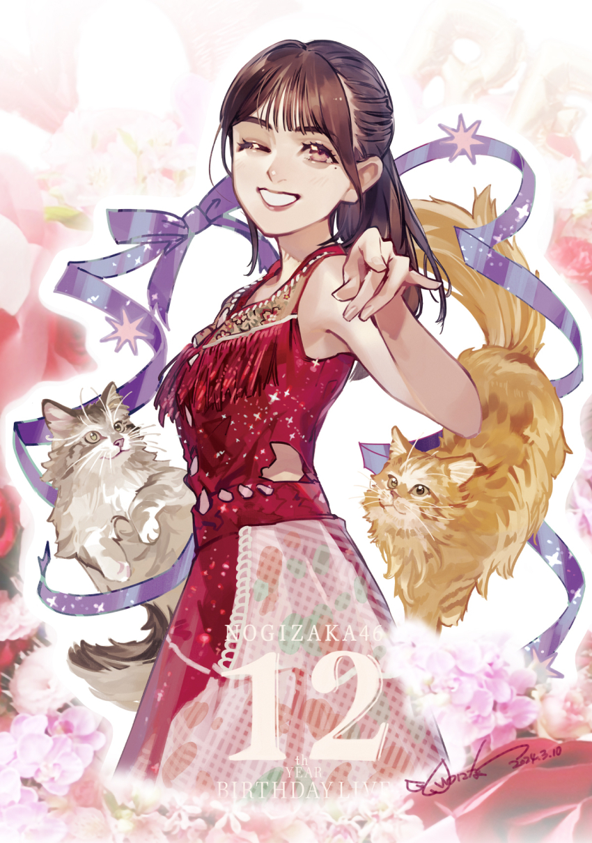 1girl, aegyo_sal, black_hair, cat, dress, grey_cat, highres, idol