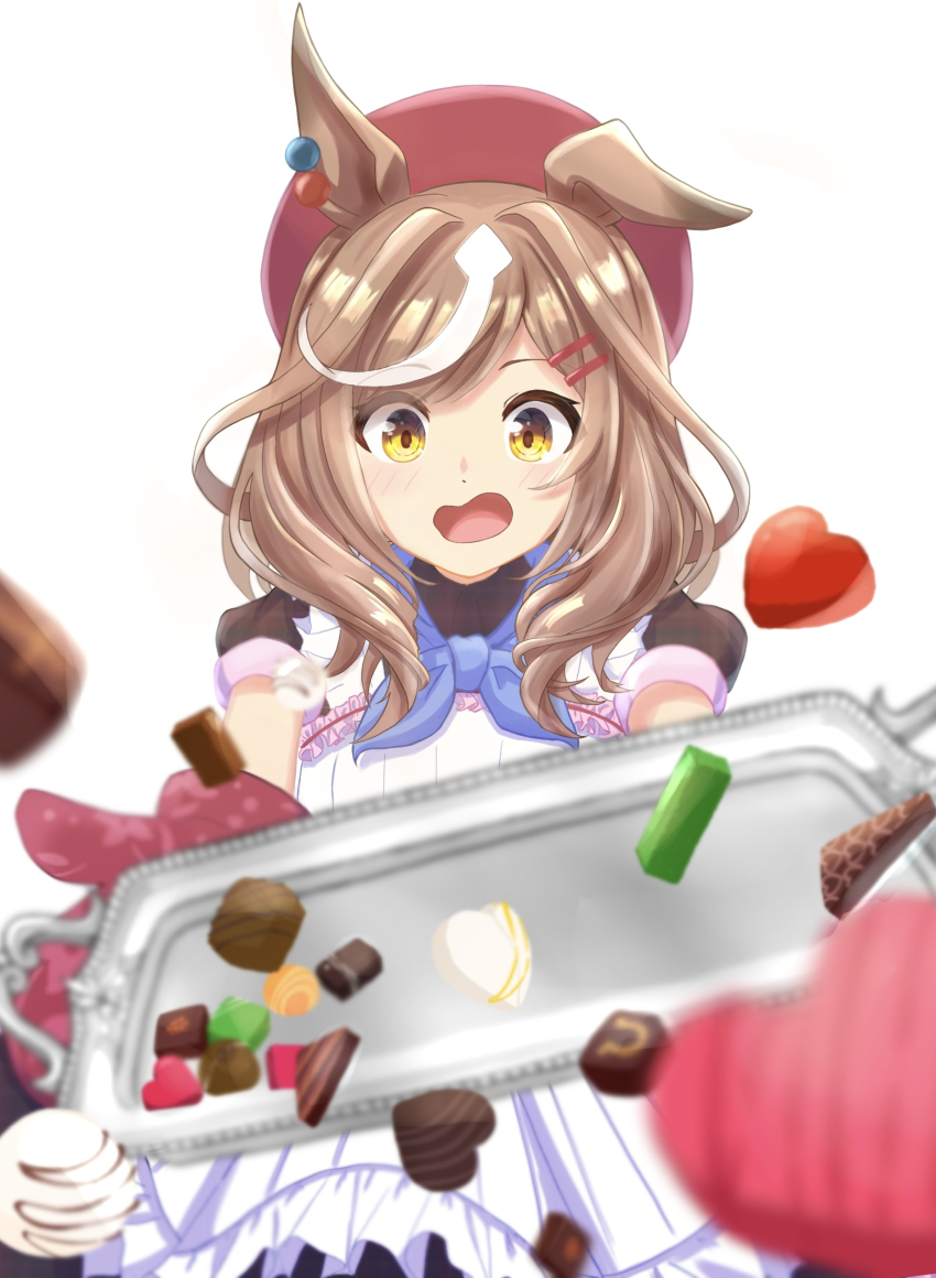 1girl, absurdres, animal_ears, apron, beret, blush, commentary_request, cookie