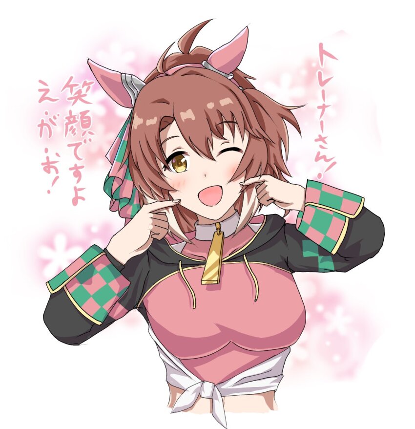 1girl, animal_ears, breasts, brown_eyes, brown_hair, collar, commentary_request, dantsu_flame_(center_spotlight)_(umamusume)