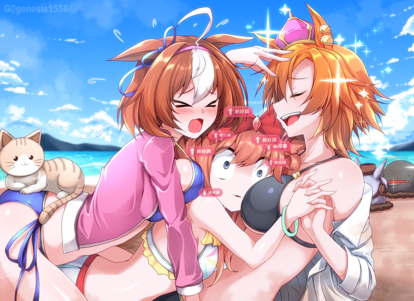 >_<, 4girls, agnes_digital_(umamusume), ahoge, animal_ears, asymmetrical_docking, beach, bikini, black_bikini, blue_bikini, blue_sky, blush, bow, breast_press, breasts, brown_hair, brown_hat, cat, closed_eyes, cloud, cloudy_sky, commentary_request, crown, ear_ornament, ear_ribbon, g_(genesis1556), gold_ship_(umamusume), hair_between_eyes, hat, highres, holding_hands, horse_ears, horse_girl, horse_tail, large_breasts, medium_breasts, meisho_doto_(umamusume), meto_(cat), multicolored_hair, multiple_girls, ocean, open_mouth, orange_hair, outdoors, parted_lips, pillbox_hat, purple_eyes, red_bow, sand, short_hair, side-tie_bikini_bottom, sky, smile, sparkle, streaked_hair, swimsuit, t.m._opera_o_(umamusume), tail, teeth, umamusume, upper_teeth_only, water, white_hair, yuri