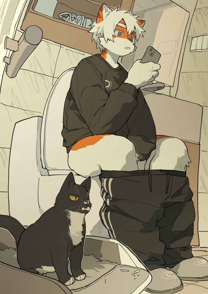 1boy, animal_ears, black_fur, black_pants, black_shirt, black_sweater, blue_eyes, cat, cat_boy, cat_ears, cellphone, clothes_pull, furry, furry_male, highres, holding, holding_phone, long_sleeves, male_focus, milkybot, multicolored_fur, orange_fur, original, pants, pants_pull, phone, sandals, shirt, short_hair, smartphone, solo, sweater, toilet, toilet_use, white_fur, white_hair