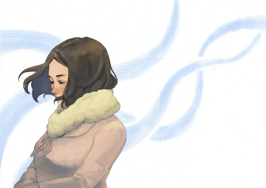 1girl, black_eyes, black_hair, blue_period, brown_coat, coat, fur_collar, highres