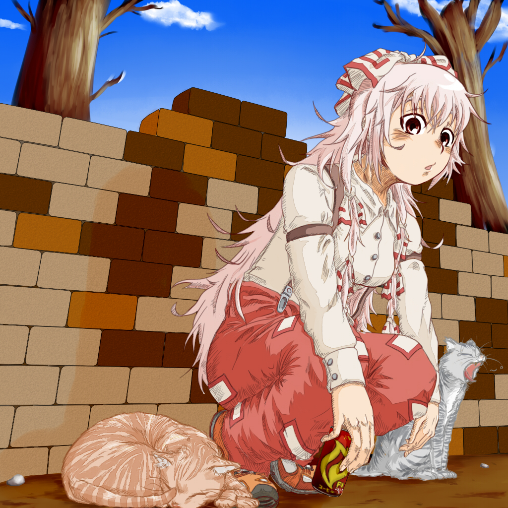 1girl, brick_wall, can, cat, cloud, female_focus, fujiwara_no_mokou, full_body