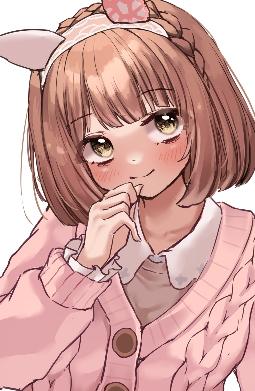 1girl, absurdres, animal_ears, braid, breasts, brown_eyes, brown_hair, casual