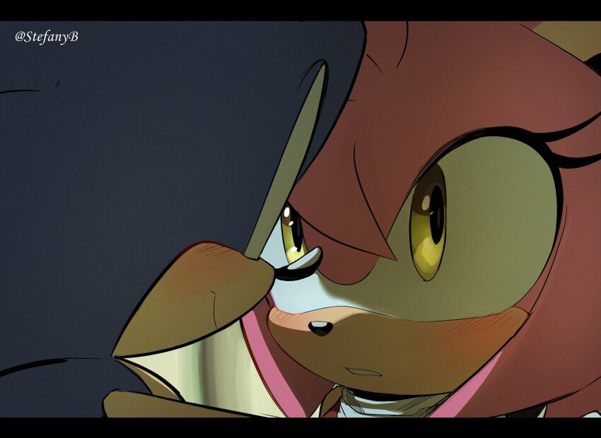 1boy, 1girl, amy_rose, artist_name, blush, close-up, colored_skin, furry