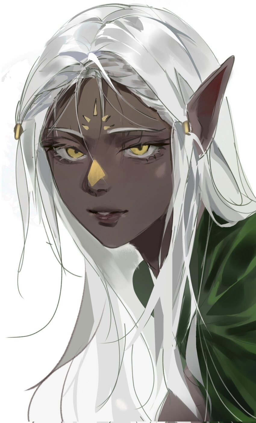 1girl, cithis, cloak, dark-skinned_female, dark_elf, dark_skin, dungeon_meshi, elf, facial_mark, forehead_mark, green_cloak, grey_hair, hair_tubes, highres, jewelry, long_hair, looking_at_viewer, pointy_ears, rain_(neporain), solo, white_background, yellow_eyes