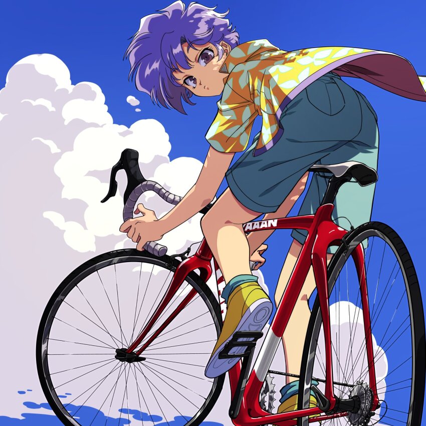 1990s_(style), 1girl, androgynous, aqua_shorts, aqua_socks, bicycle, blue_sky, brown_eyes