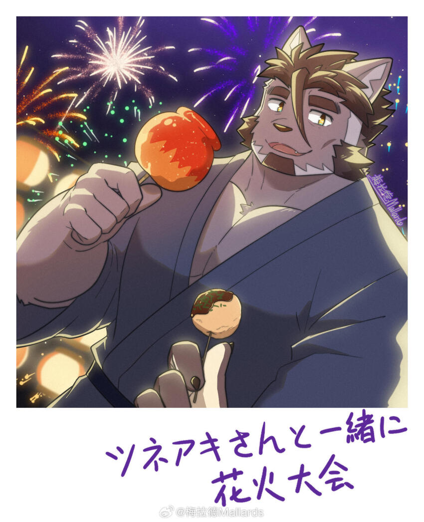 1boy, aerial_fireworks, ahoge, animal_ears, bara, candy_apple, cat_boy, cat_ears