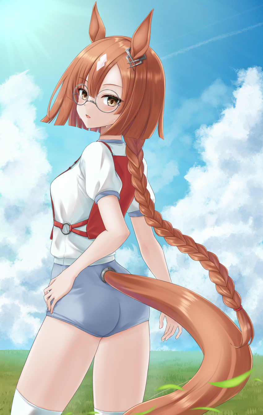 1girl, animal_ears, blue_sky, braid, braided_ponytail, breasts, brown_eyes, brown_hair