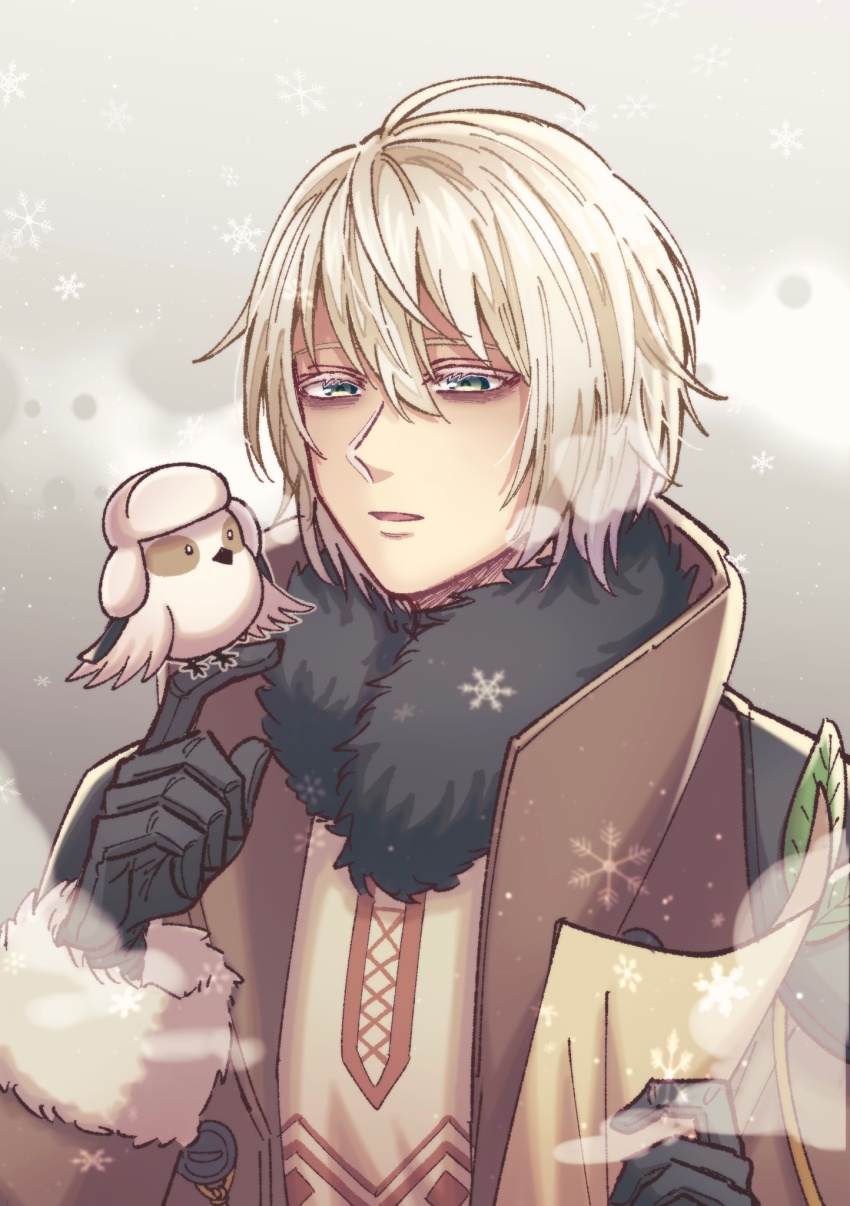1boy, 39999m, ahoge, bird, bird_on_hand, black_gloves, blue_eyes, brown_coat
