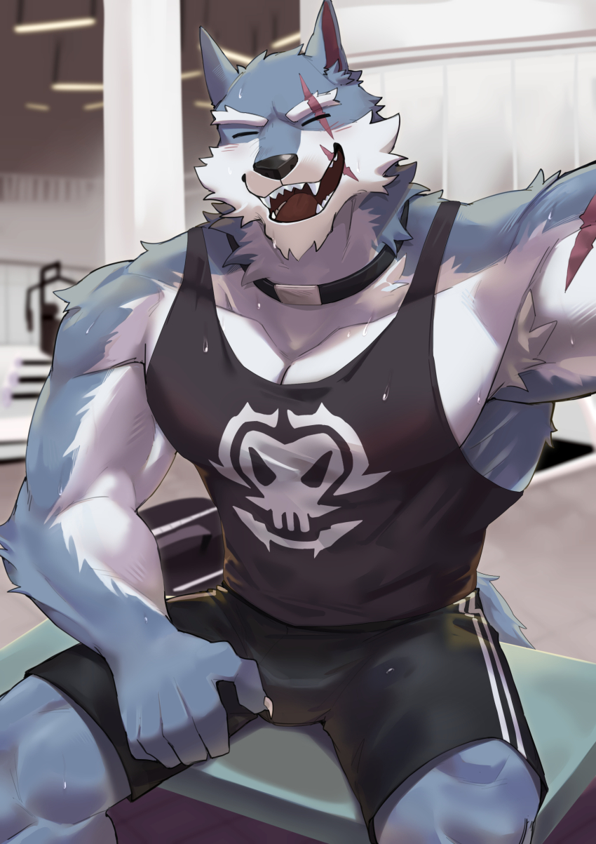 1boy, absurdres, animal_collar, animal_ear_fluff, animal_ears, arm_up, armpit_hair, bara, black_shorts, black_tank_top, bulge, closed_eyes, collar, collarbone, dislyte, feet_out_of_frame, fitness_gym, freddy_(fenrir)_(dislyte), furry, furry_male, hand_on_own_leg, highres, indoors, kenjilo_(kenjilokung), light_blush, male_focus, muscular, muscular_male, scar, scar_across_eye, scar_on_arm, scar_on_face, scar_on_mouth, sharp_teeth, shorts, sitting, snout, solo, sweat, tail, tank_top, teeth, two-tone_fur, white_fur, wolf_boy, wolf_ears, wolf_tail
