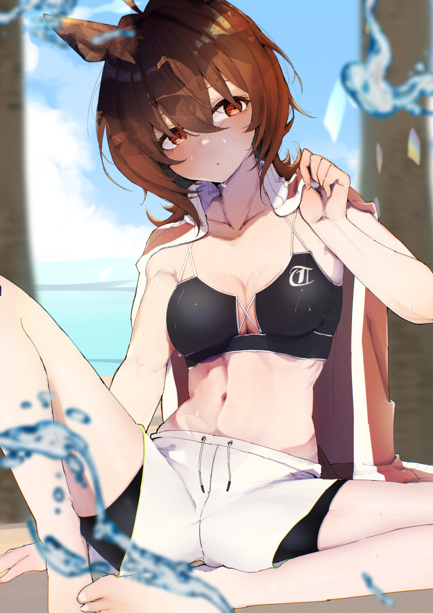 1girl, absurdres, agnes_tachyon_(umamusume), ahoge, alternate_costume, animal_ears, bare_shoulders, barefoot, bikini, black_bikini, blue_sky, blurry, blurry_background, breasts, brown_hair, cleavage, collarbone, commentary_request, day, feet, gorioshi0802, hair_between_eyes, highres, horse_ears, horse_girl, jacket, jacket_on_shoulders, medium_breasts, messy_hair, navel, outdoors, shorts, sitting, sky, solo, stomach, strap_pull, swimsuit, toes, umamusume, white_shorts
