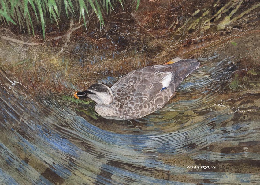 animal, animal_focus, bird, duck, eastern_spot-billed_duck, no_humans, original, painting_(medium)