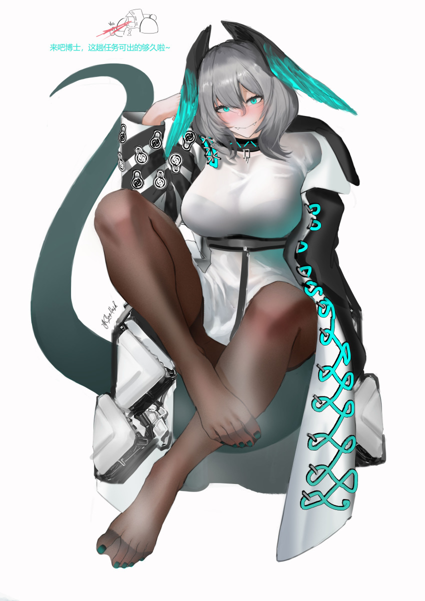 1girl, absurdres, arknights, blue_eyes, feet, grey_hair, highres, ho'olheyak_(arknights)
