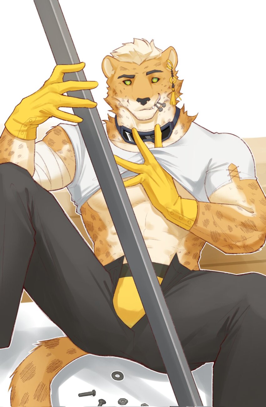 1boy, black_pants, briefs, cheetah_boy, commentary, english_commentary, feet_out_of_frame, furry