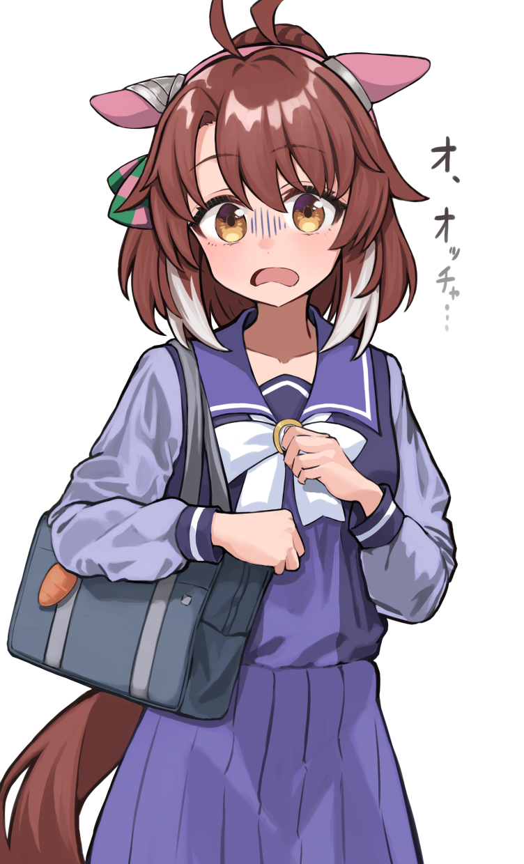 1girl, ahoge, animal_ears, bag, breasts, brown_eyes, brown_hair, collarbone