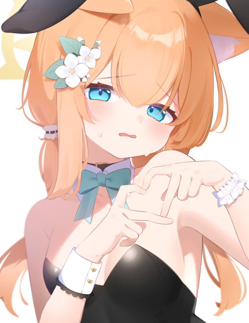 1girl, four-finger_heart_hands, absurdres, alternate_costume, animal_ear_fluff, animal_ears, aoitsuki, bare_arms, bare_shoulders, black_choker, black_leotard, blue_archive, blue_bow, blue_bowtie, blue_eyes, blush, bow, bowtie, breasts, cat_ears, choker, detached_collar, fake_animal_ears, flower, hair_flower, hair_ornament, halo, hands_up, heart, heart_hands, highres, leotard, long_hair, looking_at_viewer, mari_(blue_archive), open_mouth, orange_hair, playboy_bunny, rabbit_ears, simple_background, small_breasts, solo, strapless, strapless_leotard, sweat, twintails, upper_body, wavy_hair, white_background, wrist_cuffs