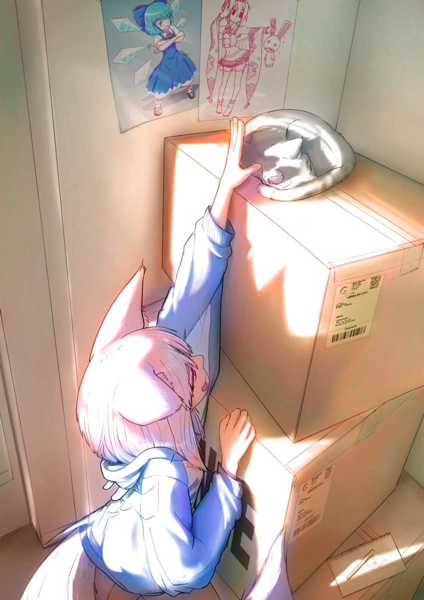 3girls, animal_ear_fluff, animal_ears, blue_hoodie, box, cardboard_box, cat, cirno