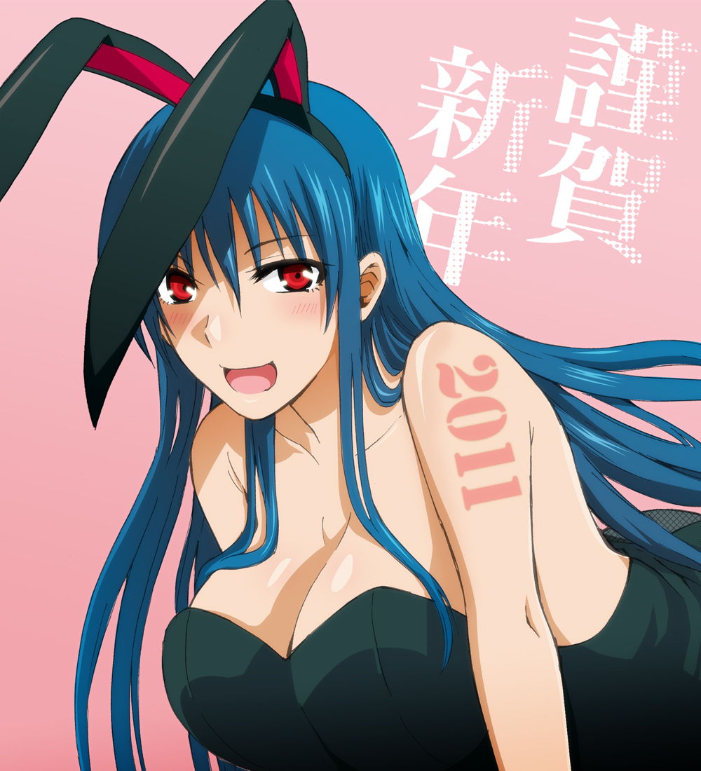 10s, 1girl, 2011, animal_ears, blue_hair, breasts, cleavage, diamond_cut_diamond