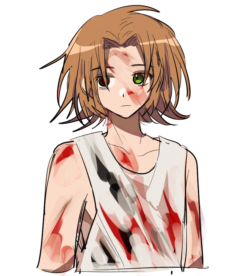1b_(dlqotlswk), 1boy, blood, blood_on_clothes, blood_on_face, brown_hair, closed_mouth, green_eyes