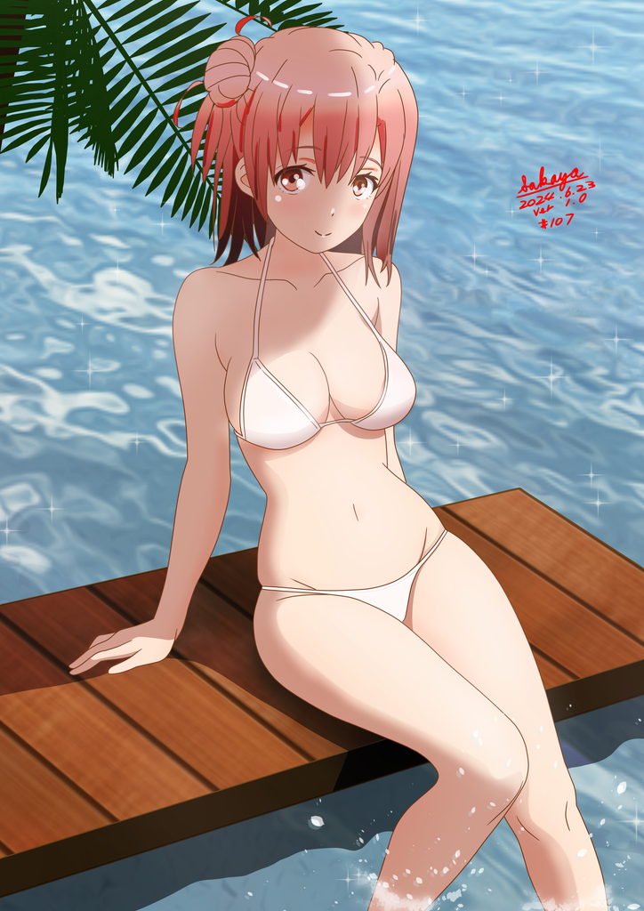 1girl, artist_name, bikini, breasts, commentary_request, dated, dock, dress
