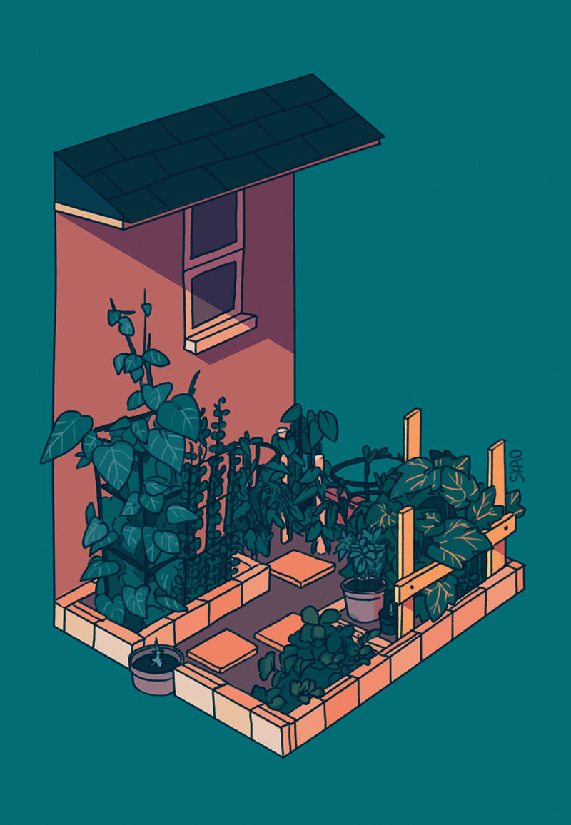 architecture, building, bush, color_contrast, garden, green_background, house, leaf