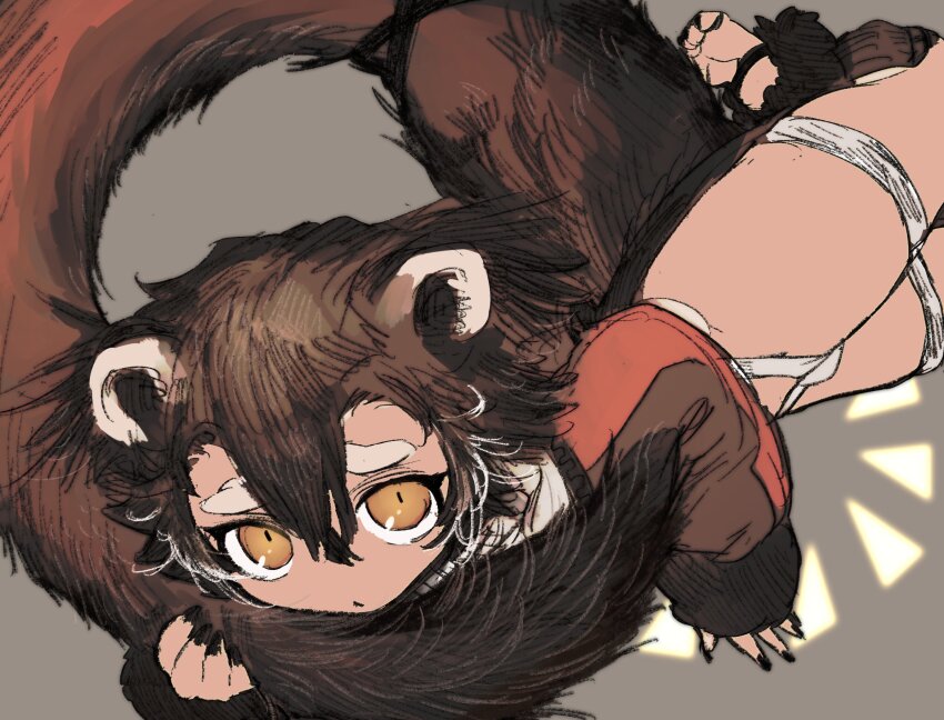 1boy, animal_ears, binturong, brown_eyes, brown_hair, brown_jacket, closed_mouth, commentary_request, fingernails, grey_background, highres, holding_own_tail, jacket, long_sleeves, looking_at_viewer, male_focus, original, sharp_fingernails, shima_(wansyon144), short_hair, shota, simple_background, sleeves_past_fingers, sleeves_past_wrists, solo, tail, very_long_tail
