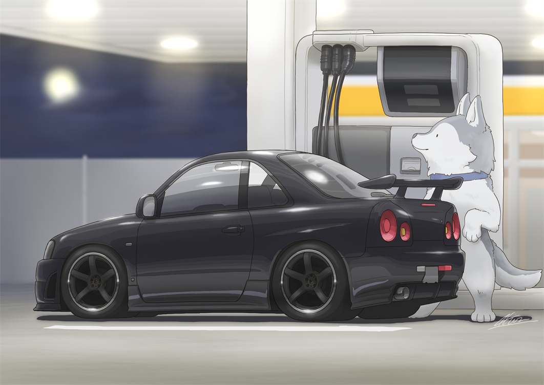 akion_(chibaibaraki), animal, black_car, black_eyes, blue_collar, cable, car, collar