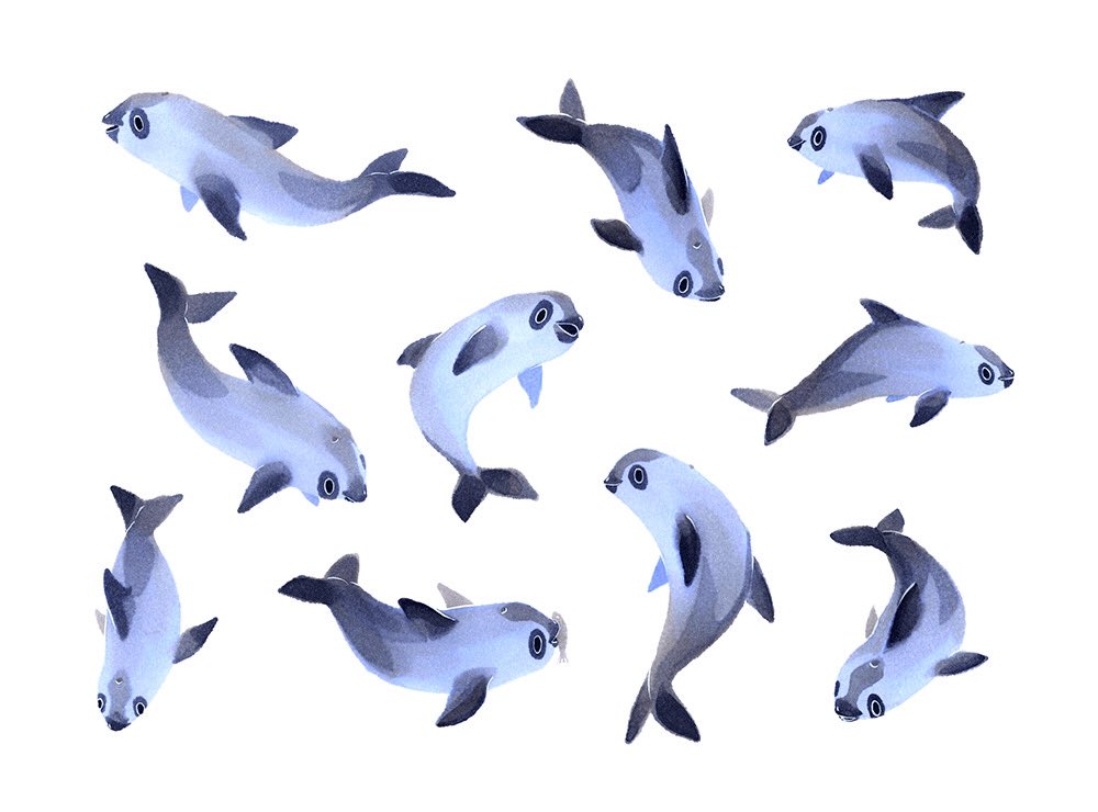 6+others, animal, animal_focus, black_eyes, blowhole, blue_skin, closed_mouth, colored_extremities