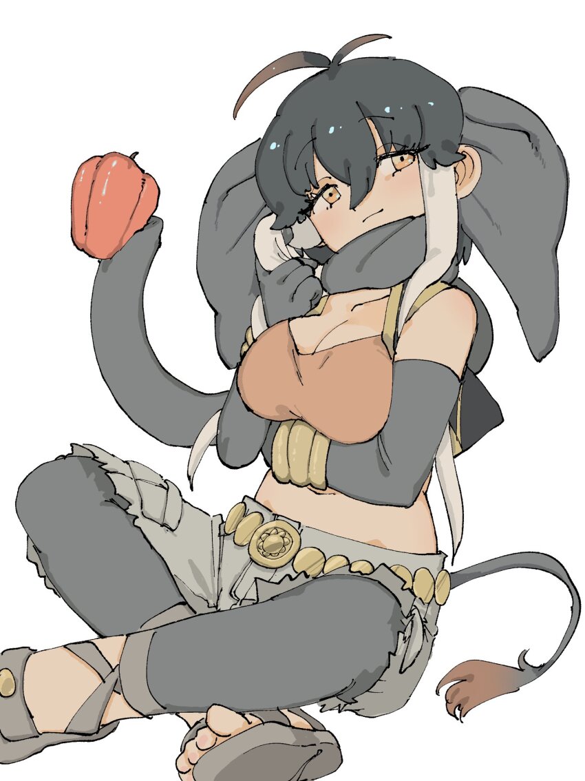1girl, animal_ears, bell_pepper, belt, borneo_elephant_(kemono_friends), bracelet, brown_shirt, crop_top