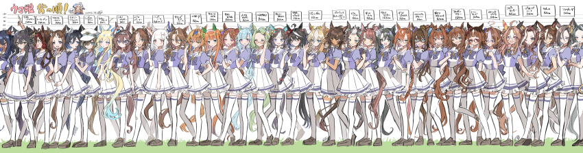 6+girls, absurdres, ahoge, air_groove_(umamusume), air_messiah_(umamusume), animal_ears, bitter_glasse_(umamusume), blonde_hair