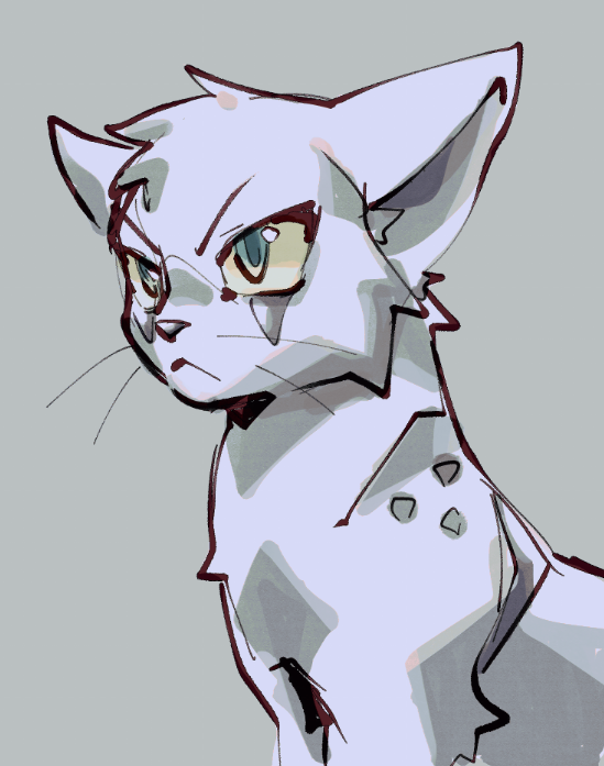 animal, animal_focus, animification, aqua_eyes, ashfur, cat, colored_sclera, commentary