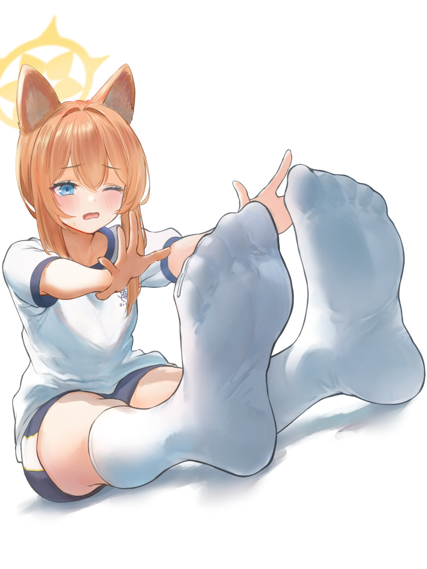 1girl, absurdres, animal_ear_fluff, animal_ears, blue_archive, blue_eyes, blush, exercising