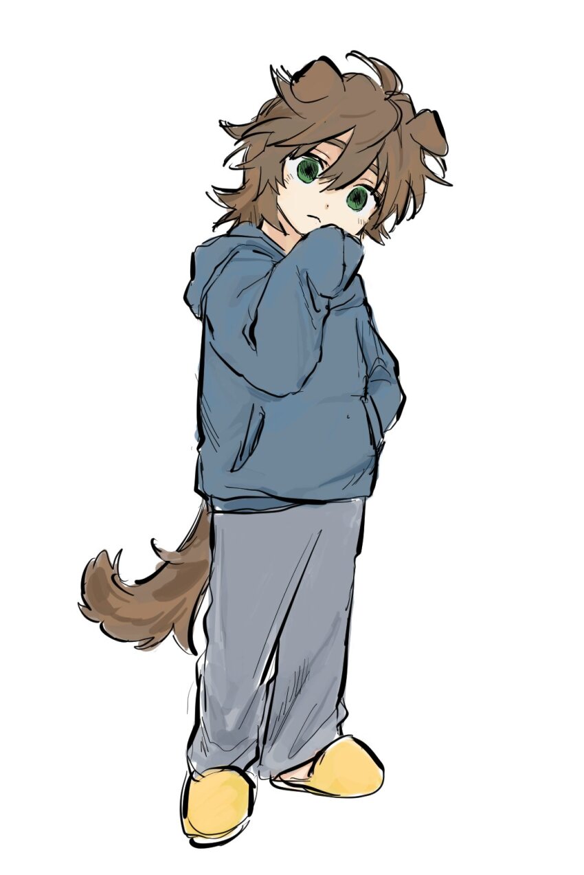 1boy, animal_ears, blue_hoodie, brown_hair, closed_mouth, commentary_request, dog_boy, dog_ears, dog_tail, full_body, gigantea_pp, grey_pants, hand_in_pocket, highres, hood, hood_down, hoodie, isoi_reiji, korean_commentary, long_sleeves, male_focus, medium_hair, pants, saibou_shinkyoku, simple_background, sleeves_past_fingers, sleeves_past_wrists, slippers, solo, tail, white_background, yellow_slippers