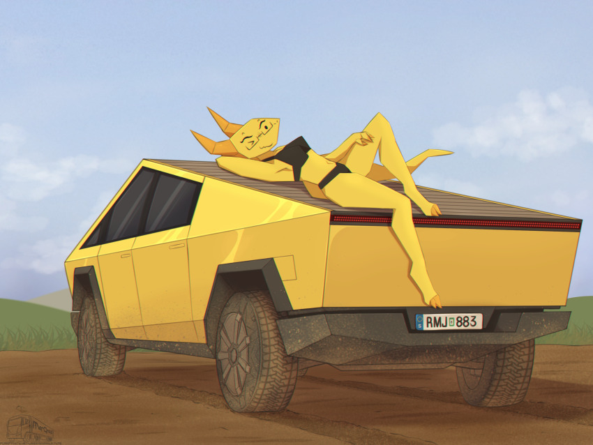 1girl, bikini, black_bikini, black_eyes, cloud, dirt, furry, furry_female