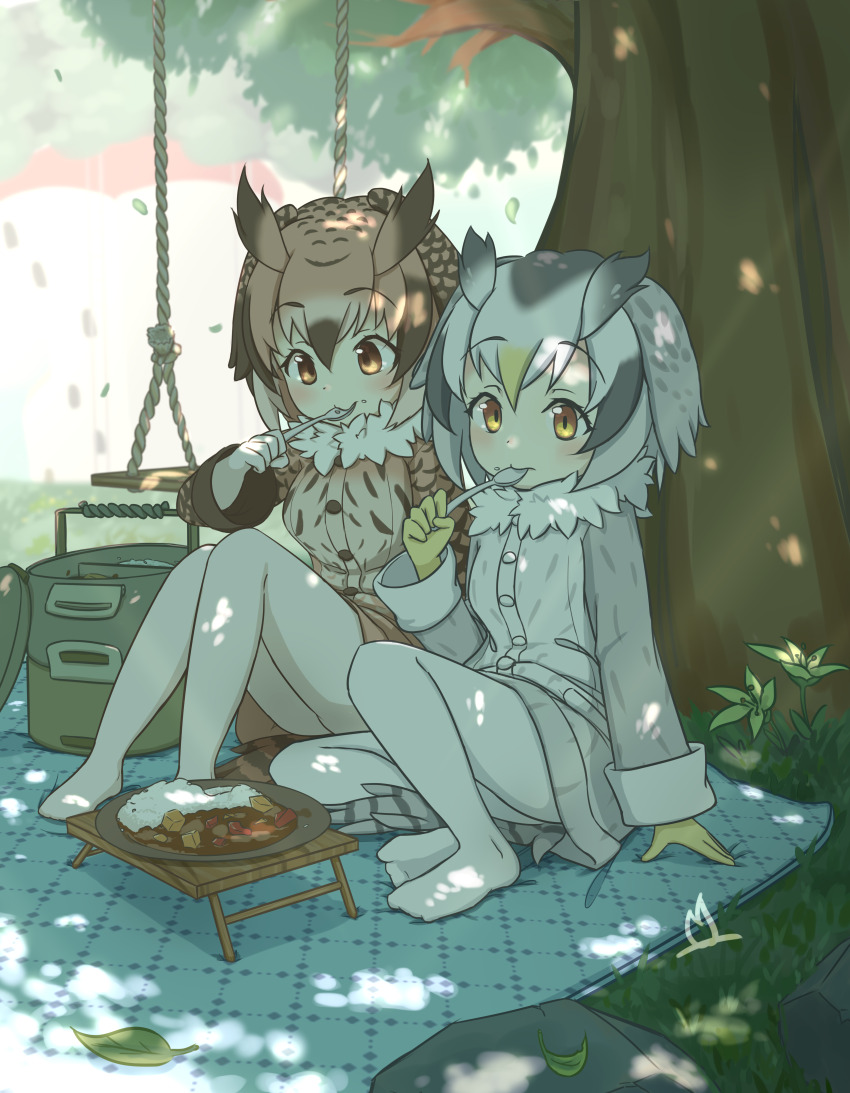 2girls, absurdres, arm_up, brown_eyes, brown_jacket, chinese_commentary, commentary_request, eating, eurasian_eagle_owl_(kemono_friends), flower, food_request, fur-trimmed_jacket, fur_trim, gloves, hair_between_eyes, highres, holding, holding_spoon, jacket, kemono_friends, leaf, long_sleeves, looking_at_object, looking_at_viewer, multicolored_hair, multiple_girls, northern_white-faced_owl_(kemono_friends), onefiresticks, outdoors, pantyhose, picnic, plate, sitting, spoon, swing, tree, white_jacket, white_pantyhose, yellow_flower, yellow_gloves
