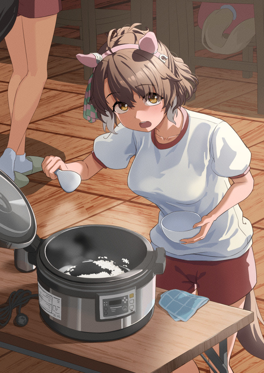 3girls, animal_ears, bowl, breasts, brown_eyes, brown_hair, checkered_ribbon, clothing_cutout