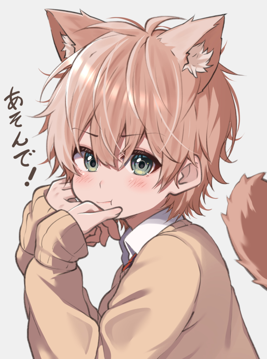 1boy, :t, animal_ear_fluff, animal_ears, blush, cat_boy, cat_ears, cat_tail