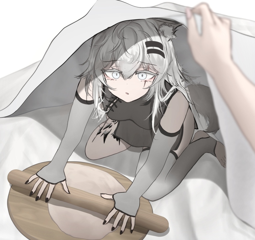 2girls, animal_ear_fluff, animal_ears, arknights, bed, black_nails, blurry, blurry_foreground