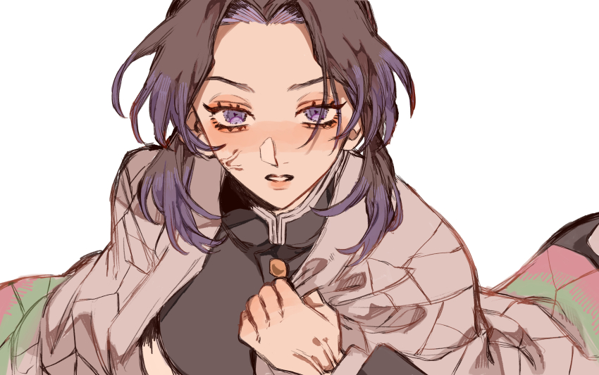 1girl, black_hair, blush, close-up, haori, highres, japanese_clothes, kimetsu_no_yaiba, kochou_shinobu, looking_at_viewer, mino_iii, parted_bangs, purple_eyes, purple_hair, solo