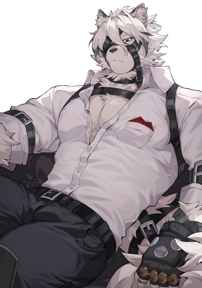 1boy, absurdres, animal_ear_fluff, bara, black_gloves, body_fur, closed_mouth, couch, fingerless_gloves, furry, furry_male, gloves, highres, looking_at_viewer, male_focus, on_couch, red_eyes, shirt, short_hair, simple_background, sitting, von_lycaon, white_background, white_fur, white_hair, white_shirt, wolf_boy, yed_(yedsilent), zenless_zone_zero