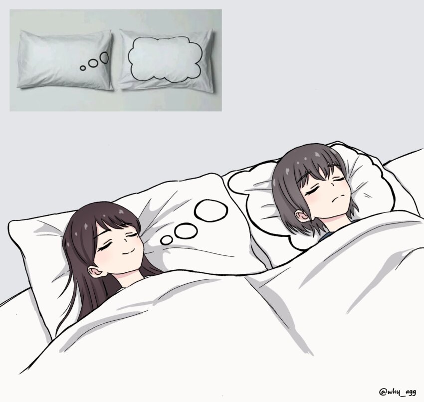 2girls, a_whydc, bang_dream!, bang_dream!_it's_mygo!!!!!, brown_hair, closed_eyes, closed_mouth, commentary, dreaming_pillow_motif_(meme), grey_hair, hashtag-only_commentary, highres, long_hair, lying, meme, mole, mole_under_eye, multiple_girls, pillow, reference_inset, shiina_taki, short_hair, takamatsu_tomori, twitter_username, under_covers