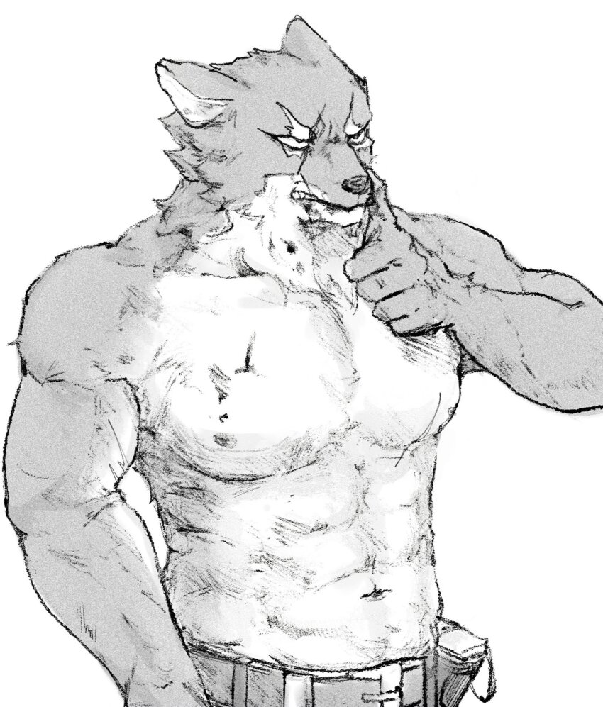 1boy, abs, animal_ears, arknights, bara, bare_pectorals, belt, blood, blood_from_mouth, bruise, bruise_on_chest, bruised_chest, foot_out_of_frame, furry, furry_male, gambino_(arknights), helpme_erin, highres, injury, male_focus, monochrome, navel, nipples, pectorals, scar, scar_across_eye, scar_on_face, scar_on_mouth, wolf_boy, wolf_ears