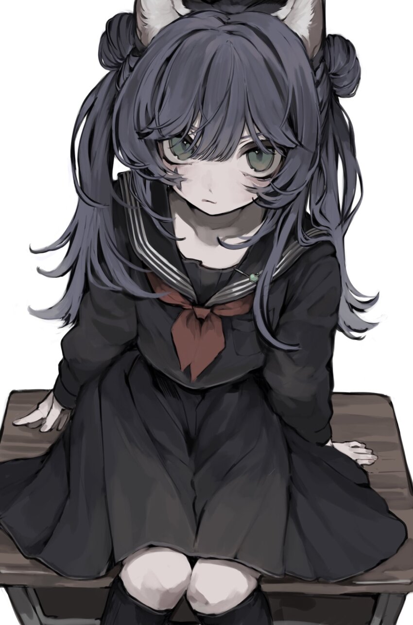1girl, animal_ears, black_sailor_collar, black_shirt, black_skirt, black_socks, blue_hair, closed_mouth