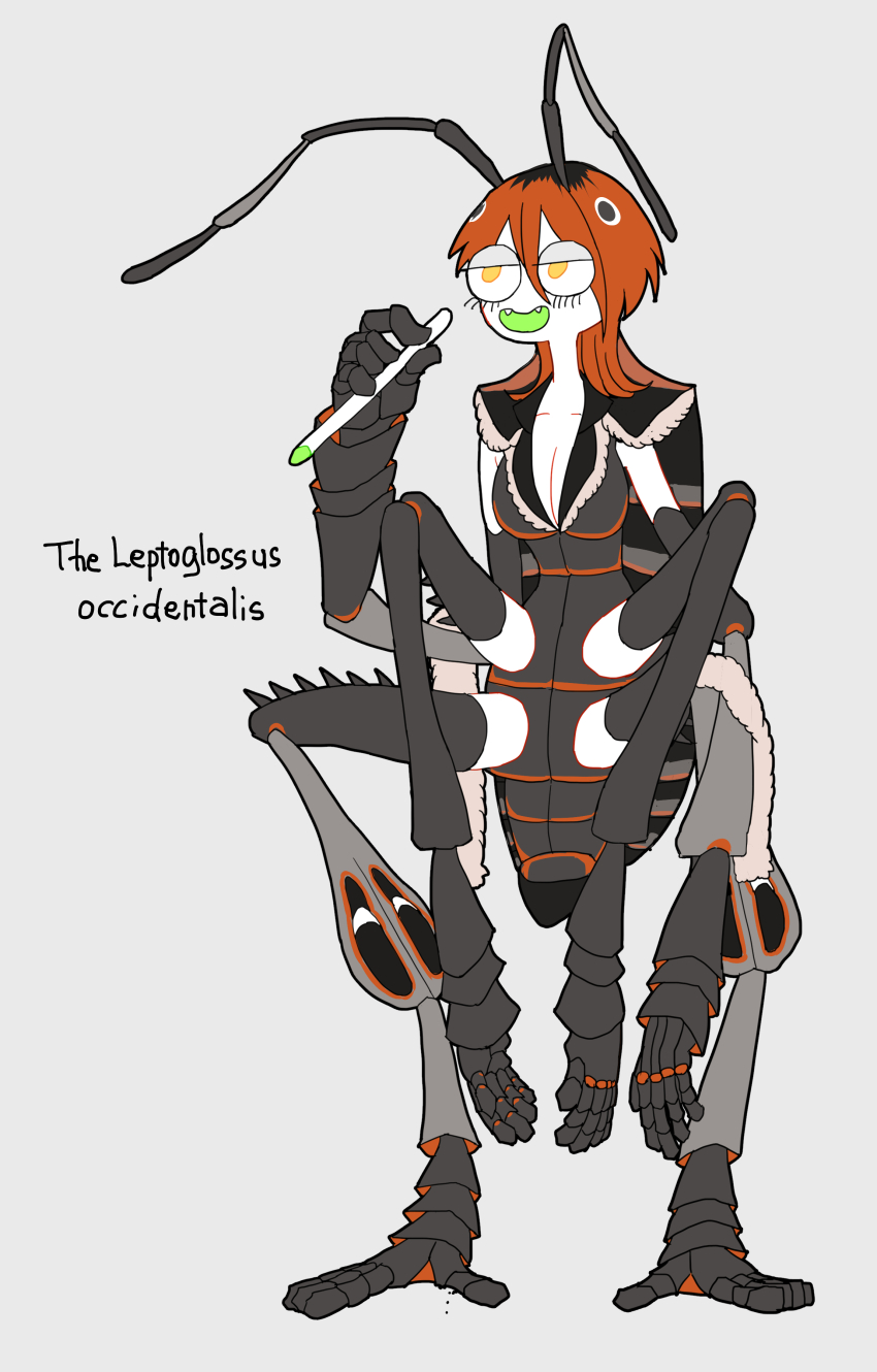 1girl, absurdres, antennae, arthropod_girl, arthropod_limbs, commentary_request, english_text, fangs